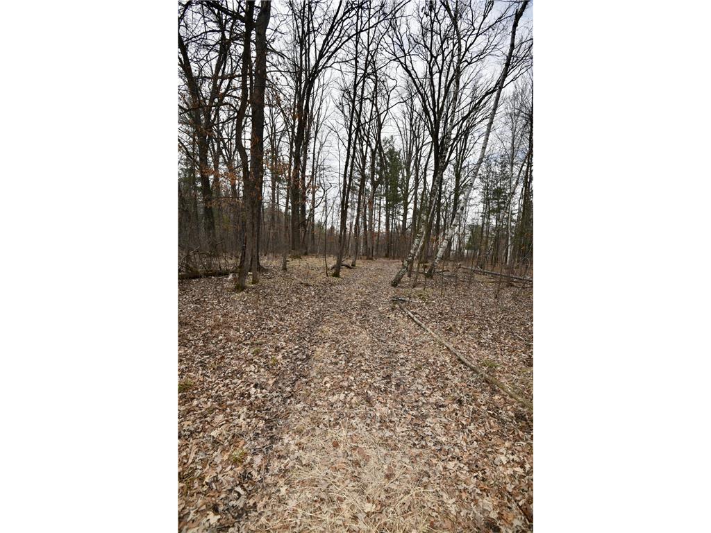 15324 61st Avenue Milaca MN 56353 6700383 image36