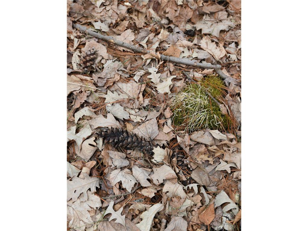 15324 61st Avenue Milaca MN 56353 6700383 image37