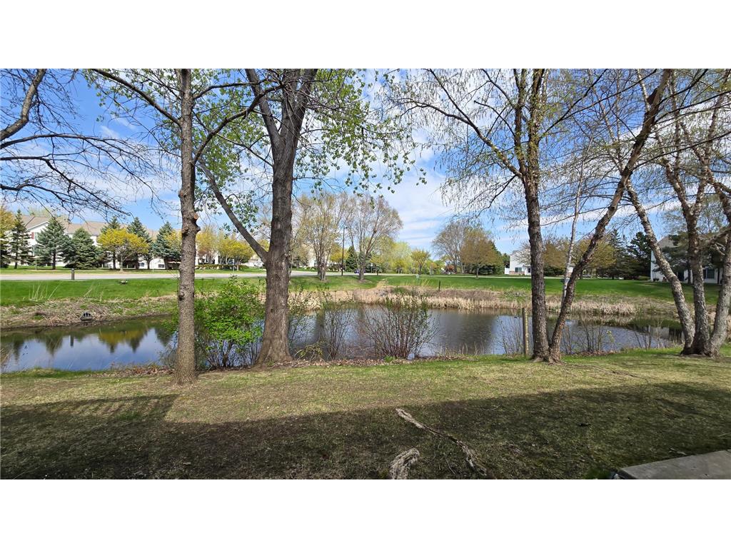 15336 Flower Way #194 Apple Valley MN 55124 7067532 image17
