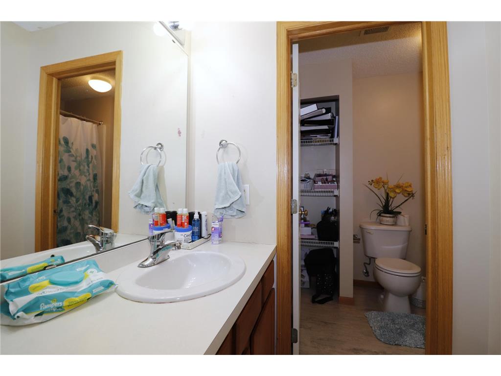 15356 Chili Court Rosemount MN 55068 7032954 image13