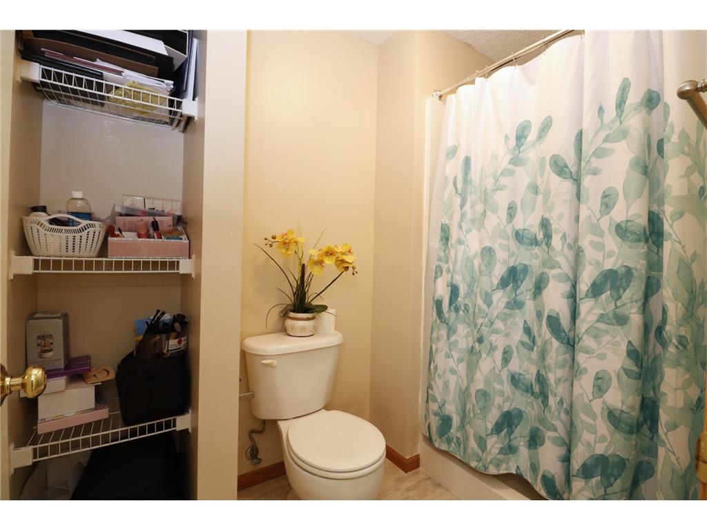 15356 Chili Court Rosemount MN 55068 7032954 image14