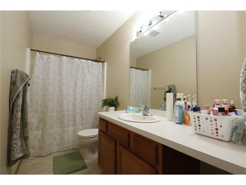 15356 Chili Court Rosemount MN 55068 7032954 image19
