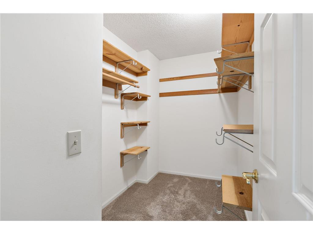 1536 Shannon Drive Woodbury MN 55125 7081011 image38