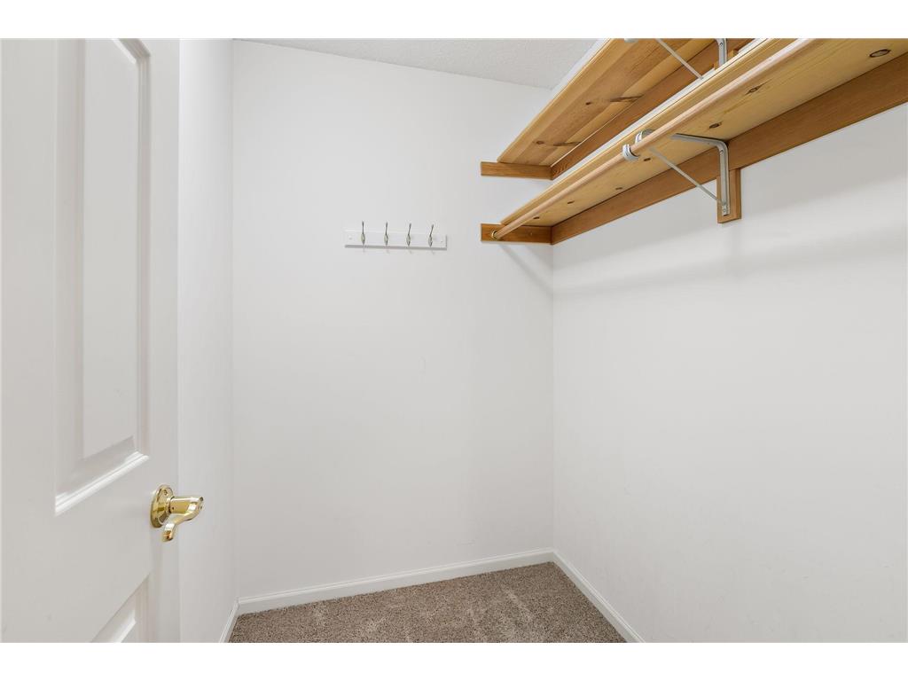 1536 Shannon Drive Woodbury MN 55125 7081011 image39