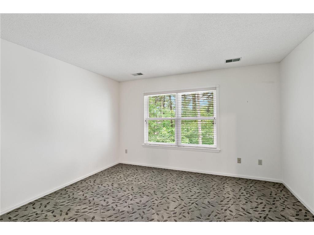 1536 Shannon Drive Woodbury MN 55125 7081011 image47