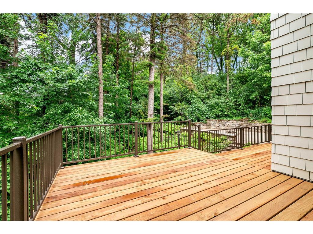 1536 Shannon Drive Woodbury MN 55125 7081011 image60