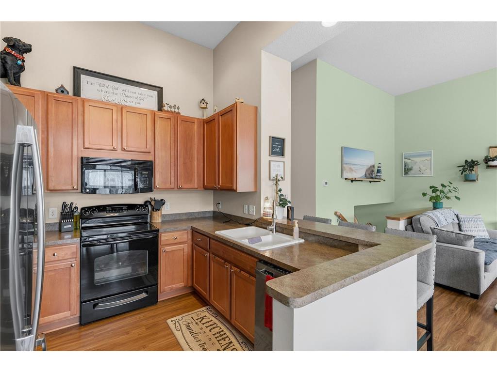 15361 Falk Drive N Hugo MN 55038 7027744 image9