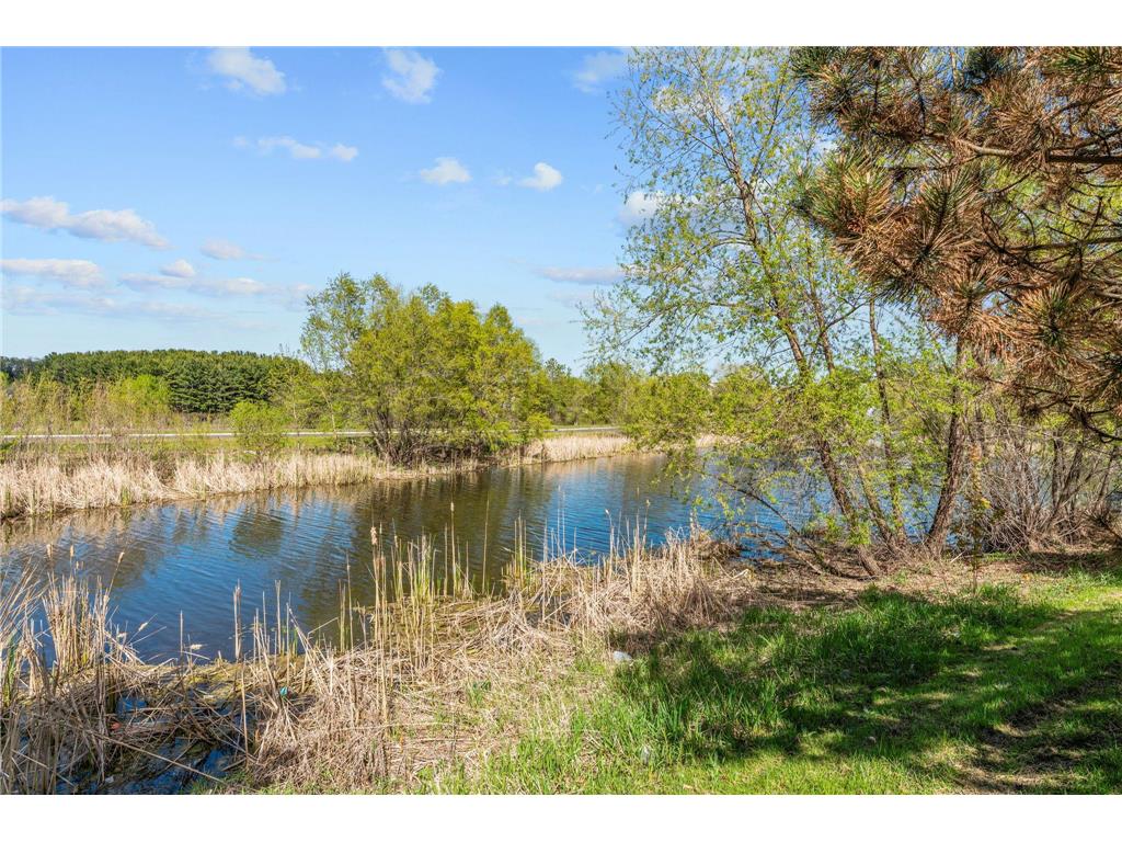 15366 60th Avenue N Plymouth MN 55446 7067602 image32