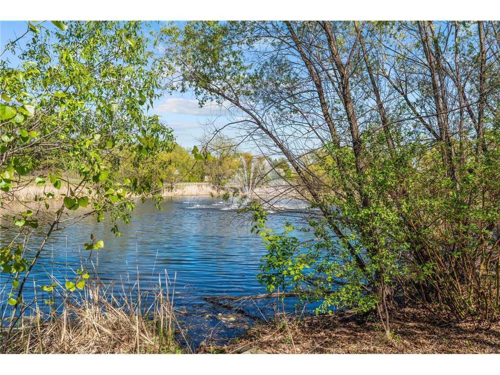 15366 60th Avenue N Plymouth MN 55446 7067602 image33