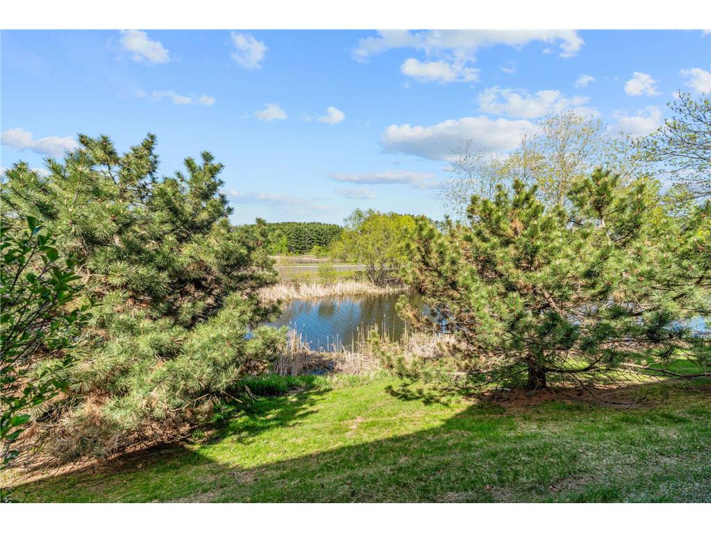 15366 60th Avenue N Plymouth MN 55446 7067602 image38