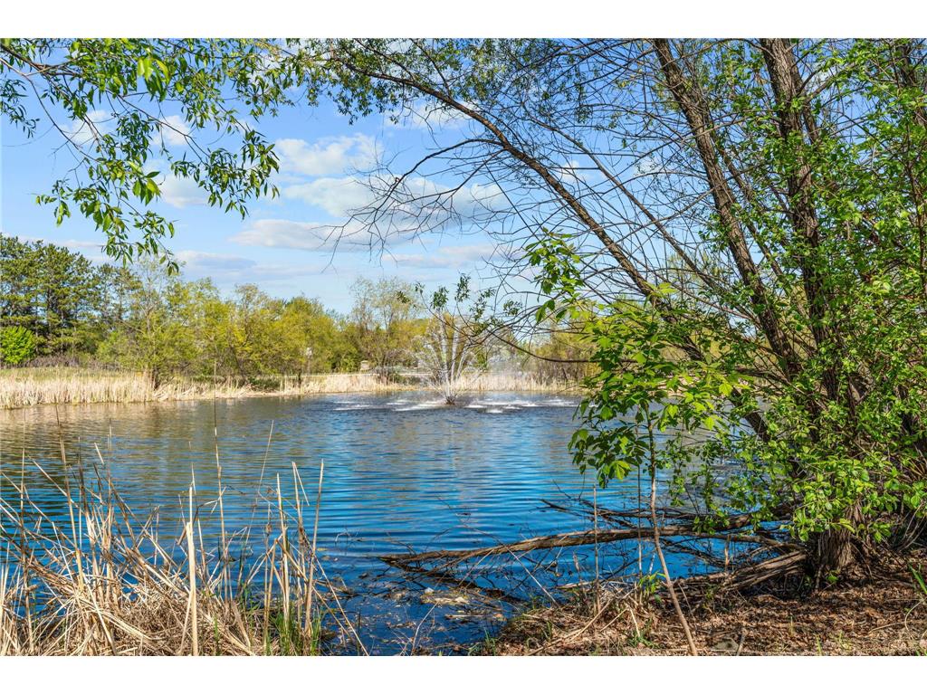 15366 60th Avenue N Plymouth MN 55446 7067602 image4