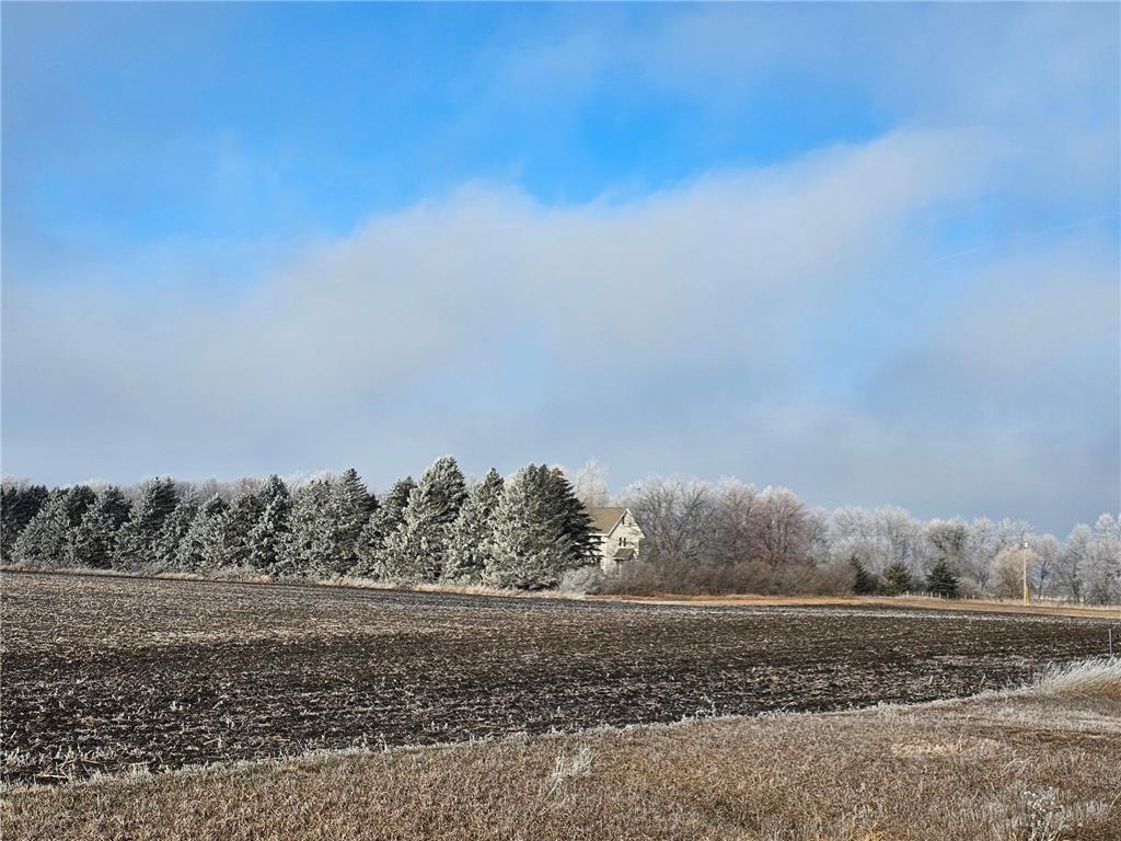 1537 State Highway 91 Cameron Twp MN 56151 6461864 image1