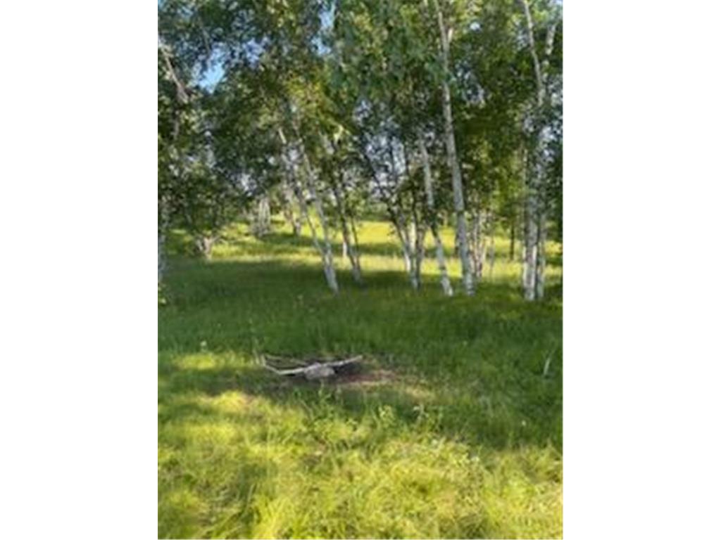 15370 Mallard Mission Creek Twp MN 55007 - East Pokegama Creek 6821348 image1