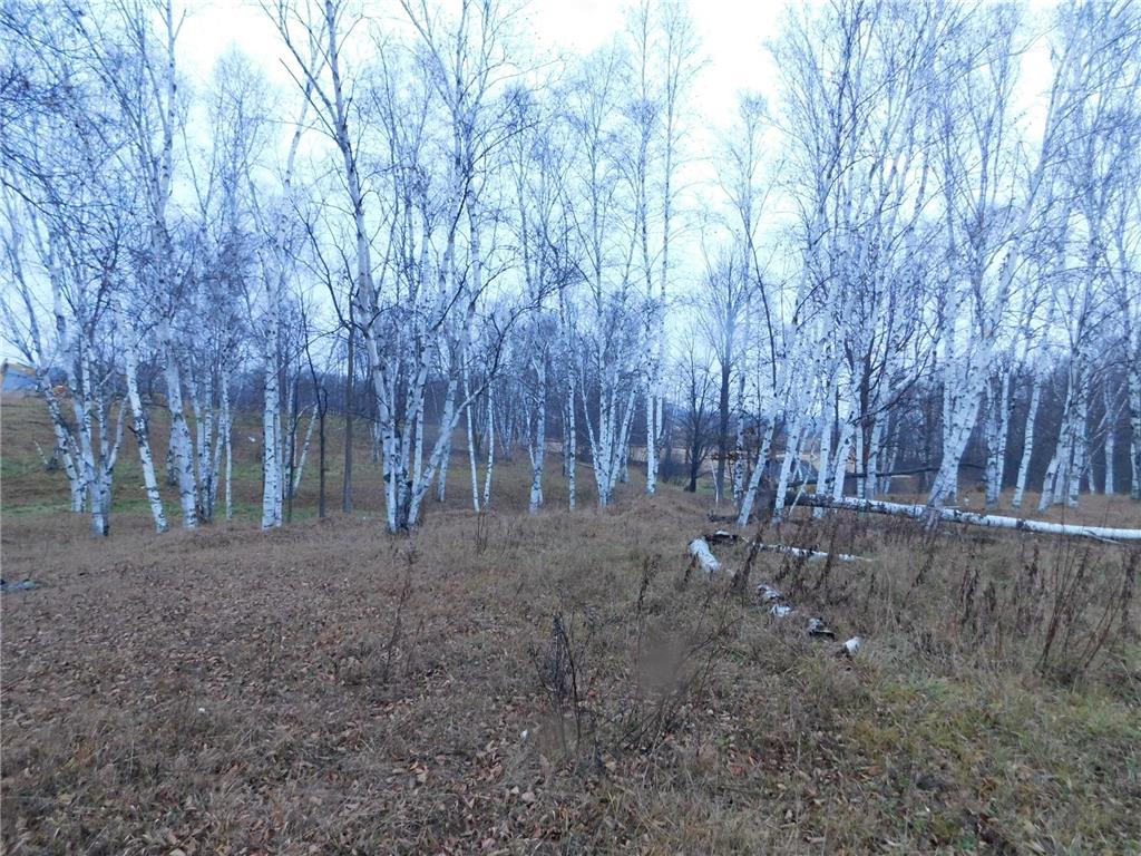 15370 Mallard Mission Creek Twp MN 55007 - East Pokegama Creek 6821348 image10