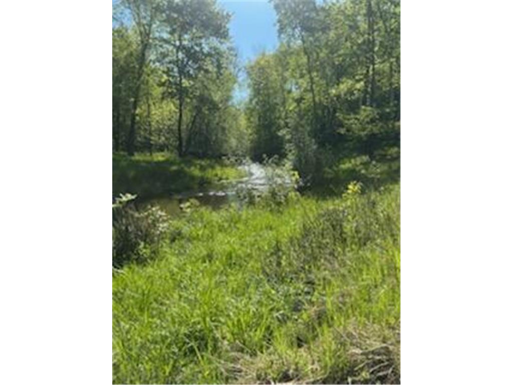 15370 Mallard Mission Creek Twp MN 55007 - East Pokegama Creek 6821348 image3