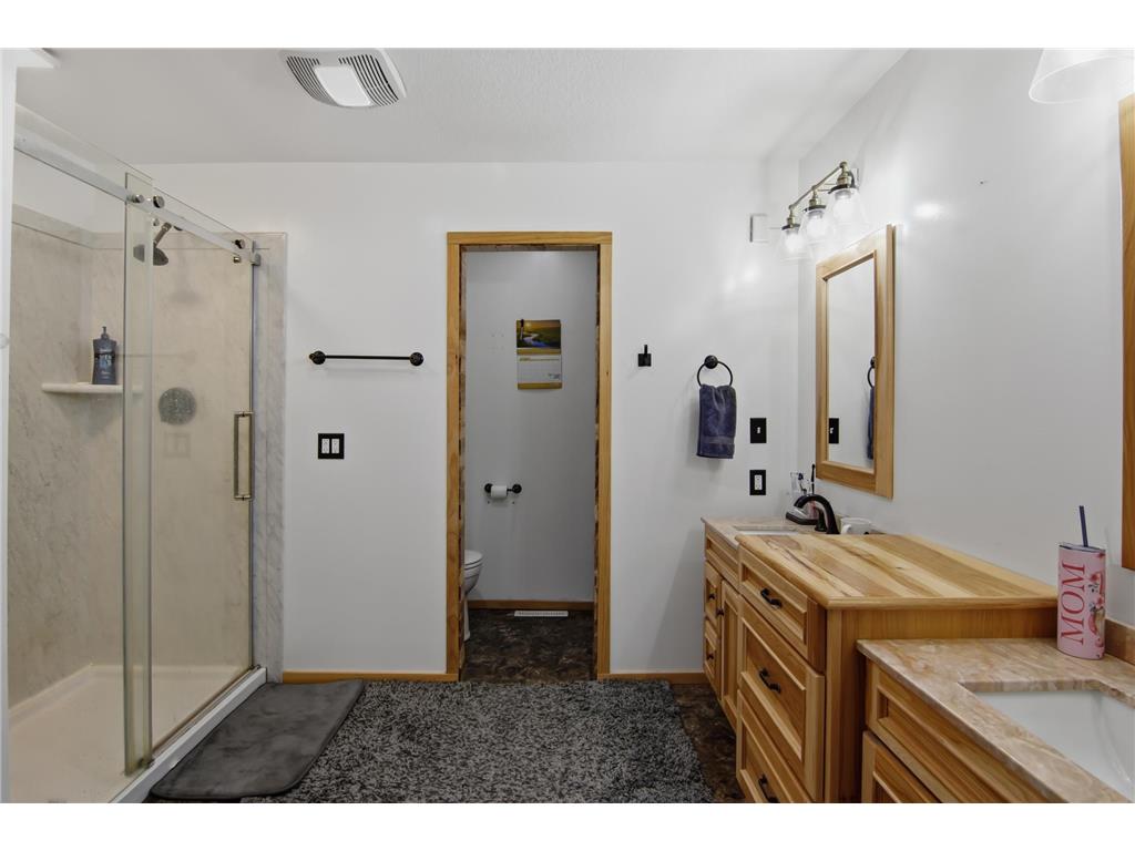 15381 670th Street Greenfield Twp MN 55981 7082709 image19