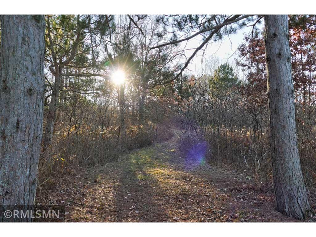 1539 101st Avenue Garfield Twp WI 54001 - Basswood Lake 6821309 image18