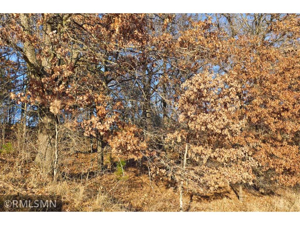 1539 101st Avenue Garfield Twp WI 54001 - Basswood Lake 6821309 image19