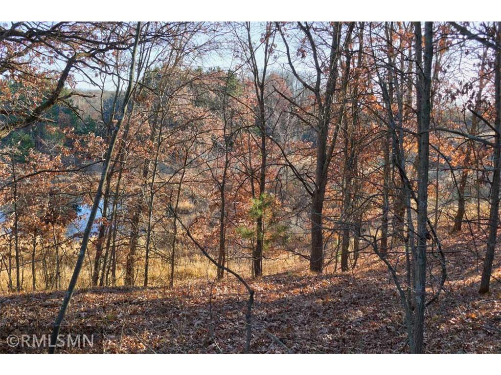 1539 101st Avenue Garfield Twp WI 54001 - Basswood Lake 6821309 image20