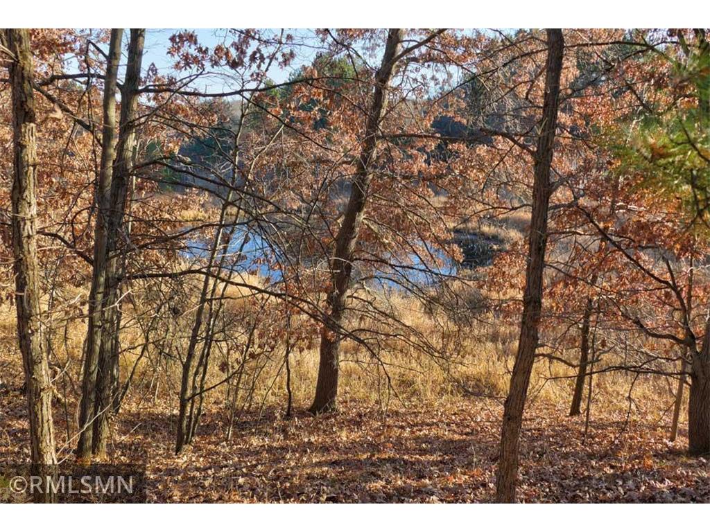 1539 101st Avenue Garfield Twp WI 54001 - Basswood Lake 6821309 image21