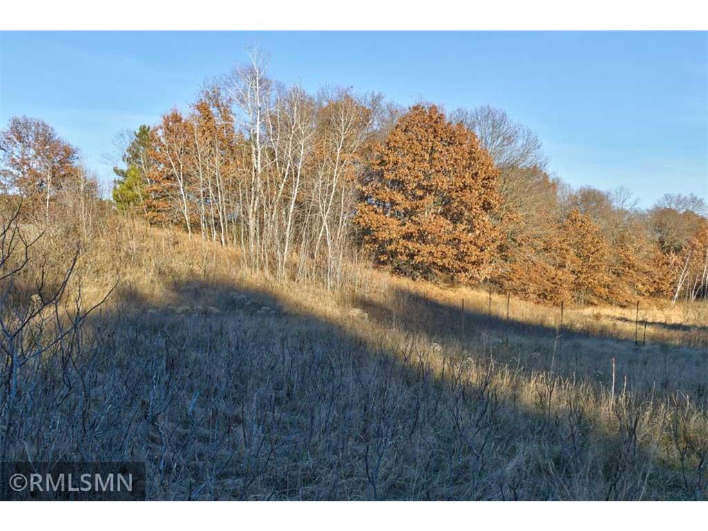 1539 101st Avenue Garfield Twp WI 54001 - Basswood Lake 6821309 image24