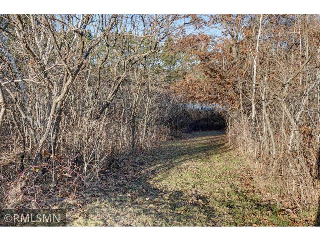 1539 101st Avenue Garfield Twp WI 54001 - Basswood Lake 6821309 image3