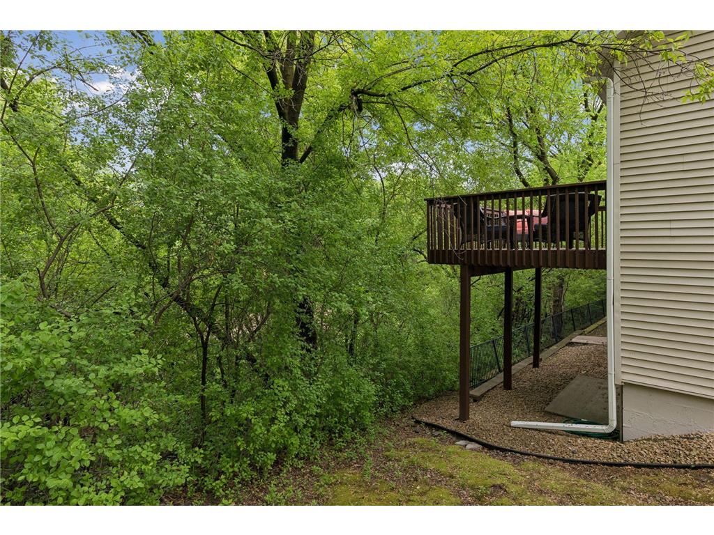 1539 Stonewood Lane Eagan MN 55122 7028787 image33