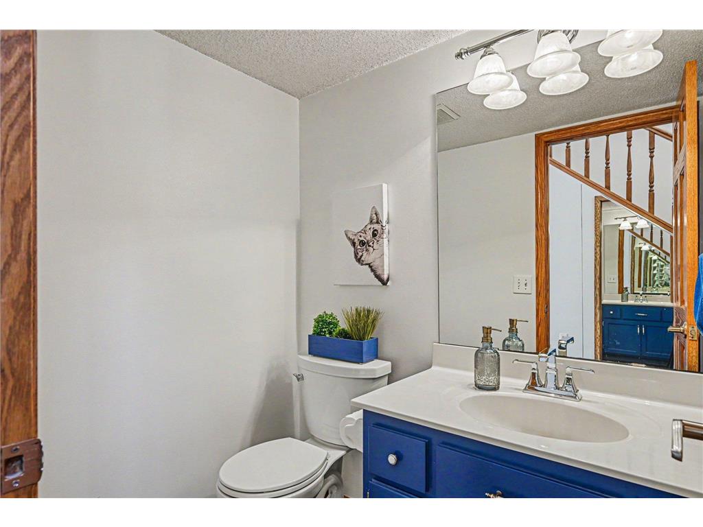15400 Darjeeling Path Rosemount MN 55068 7030722 image15