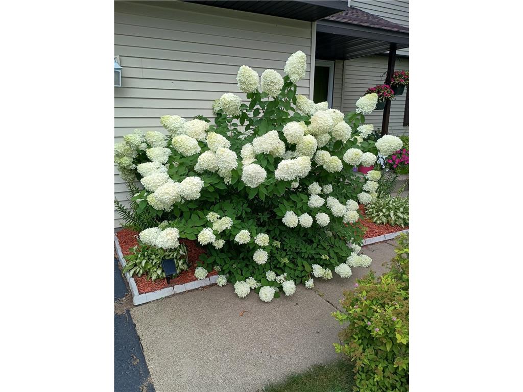 15400 Darjeeling Path Rosemount MN 55068 7030722 image26