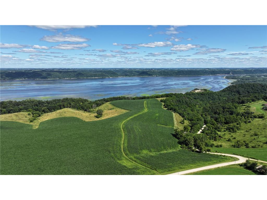 15403 Hillside Road Crooked Creek Twp MN 55919 - Mississippi 6768782 image1