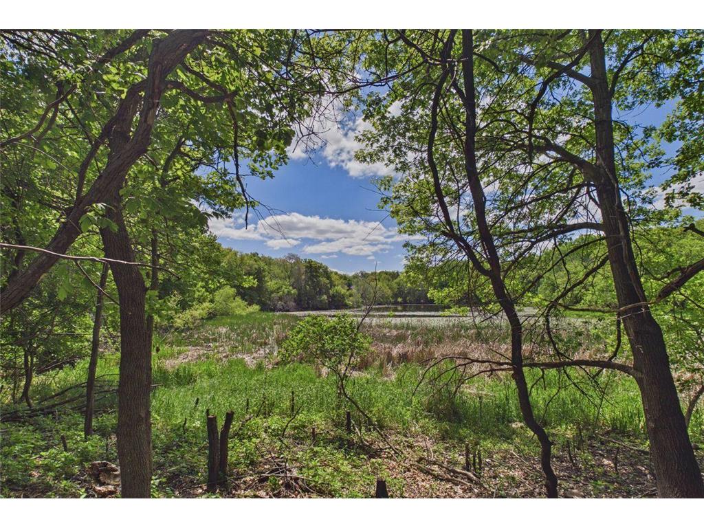 1541 S Bavarian Pass Fridley MN 55432 7076164 image21