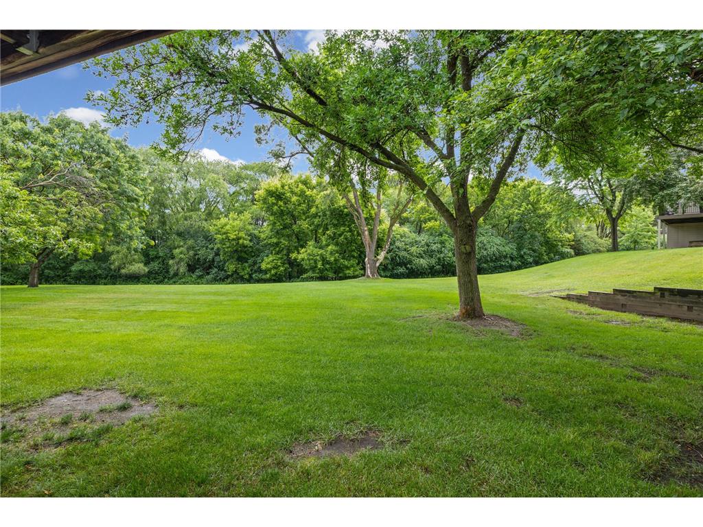 1544 Clemson Drive #B Eagan MN 55122 7090743 image37