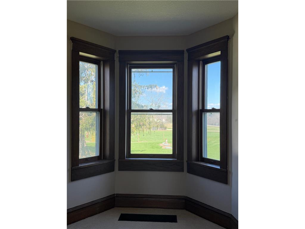 1545 Highway 60 Boulevard Kenyon Twp MN 55946 7058538 image26