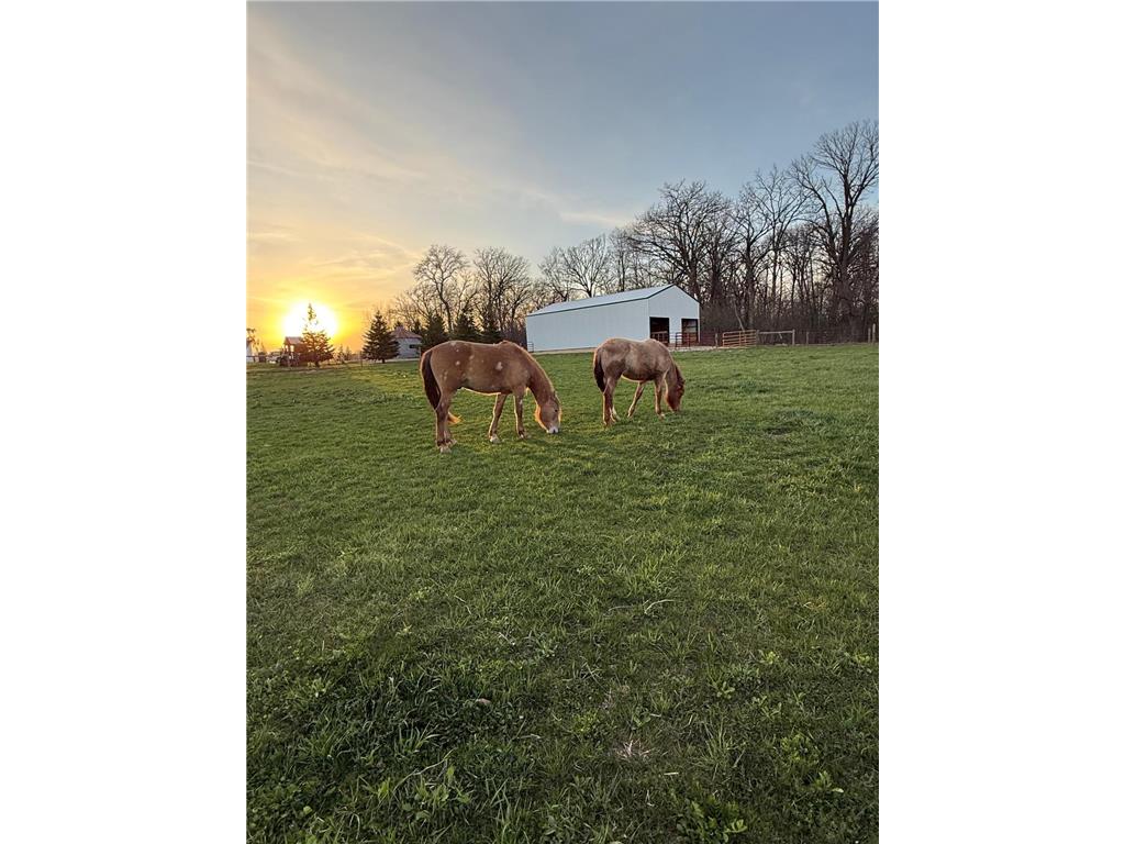 1545 Highway 60 Boulevard Kenyon Twp MN 55946 7058538 image73