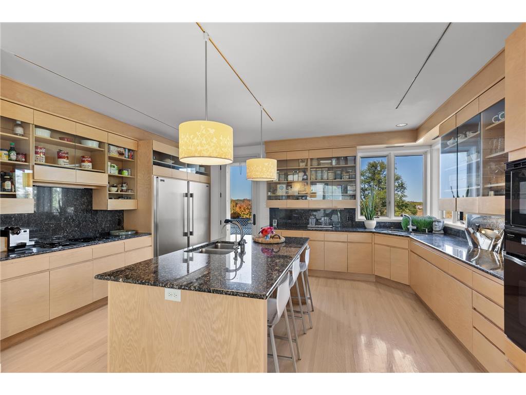 1545 Hunter Drive Medina MN 55391 6654729 image15