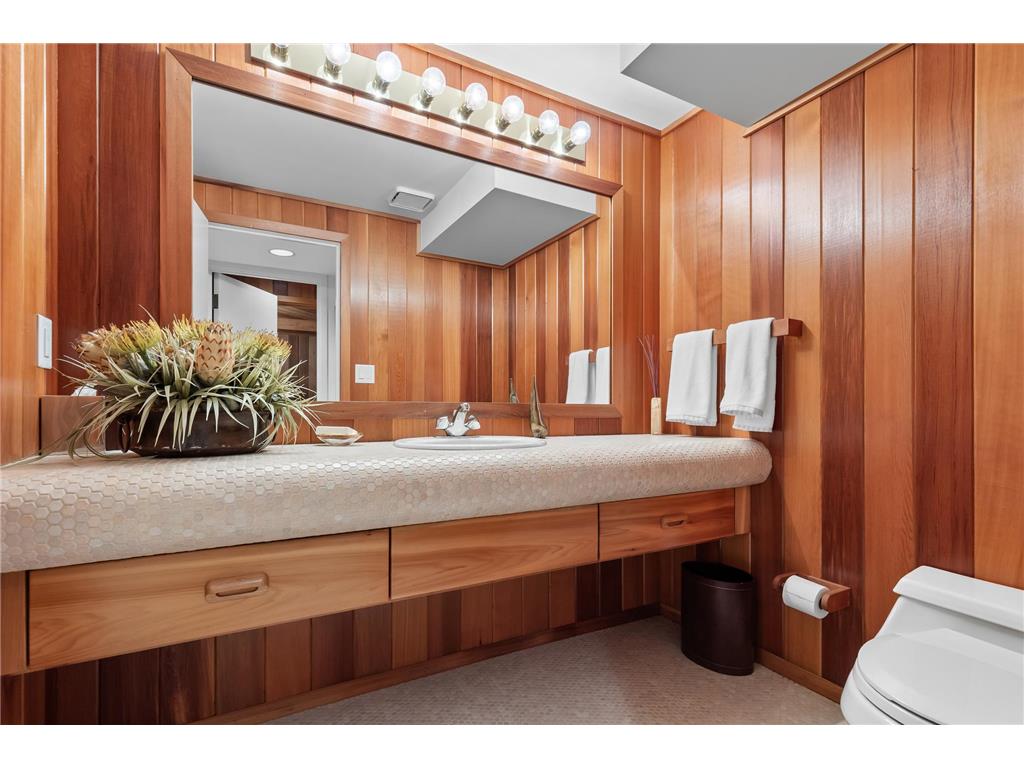 1545 Hunter Drive Medina MN 55391 6654729 image46