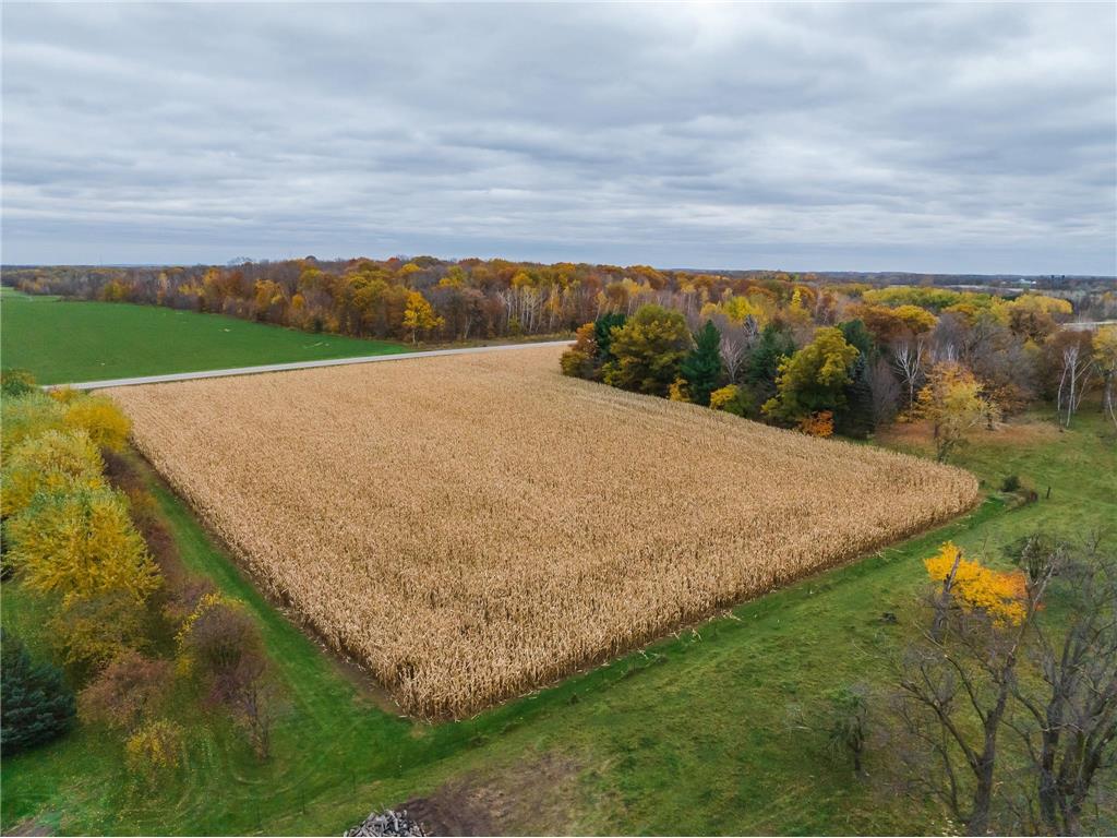 15467 Bison Road Swanville MN 56382 6808613 image31