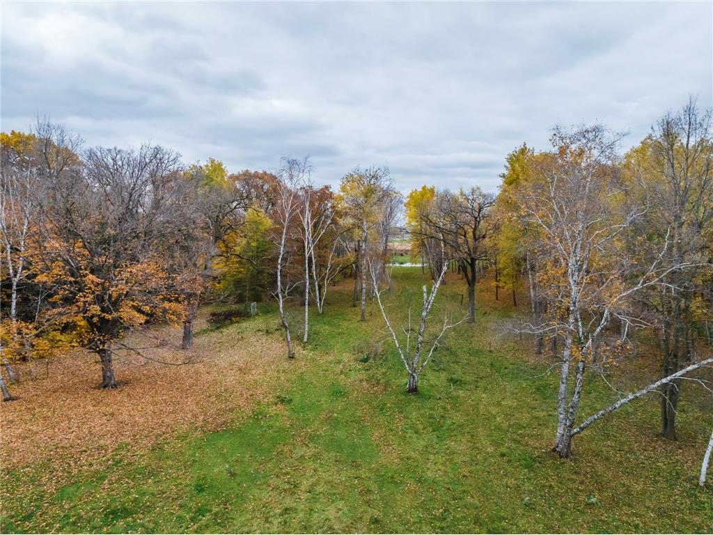 15467 Bison Road Swanville MN 56382 6808613 image32