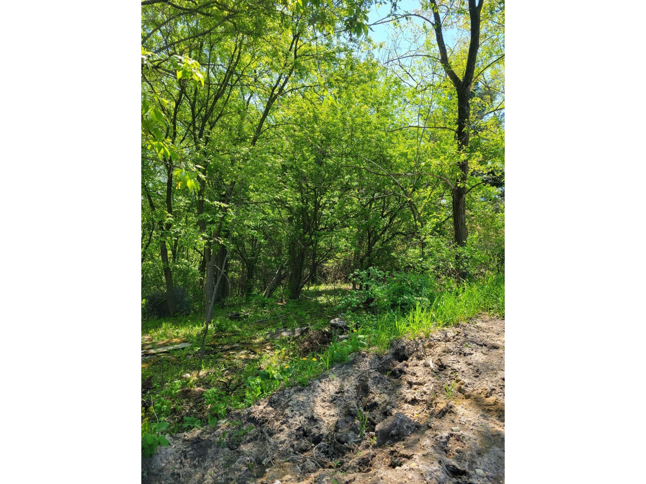 15467 Hampshire Avenue Savage MN 55378 5757141 image1