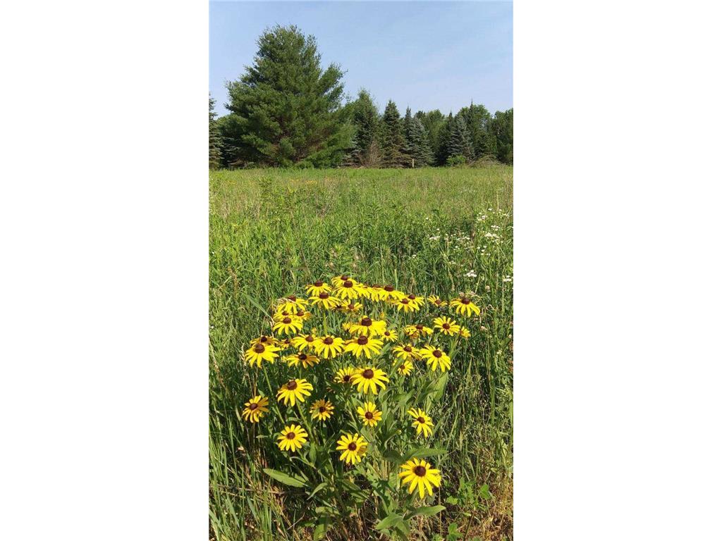 1547 120th Avenue Amery WI 54001 6357230 image1