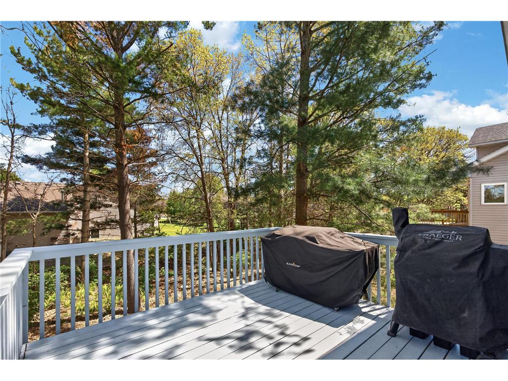 15493 Yellow Pine Street NW Andover MN 55304 7068979 image29