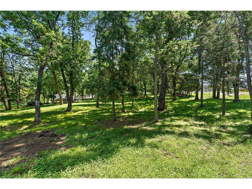155 Andover Boulevard NW Andover MN 55304 7091820 image6