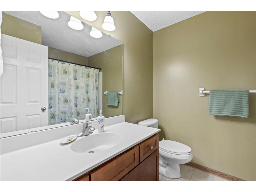 155 Stallion Lane Lino Lakes MN 55014 7075384 image41