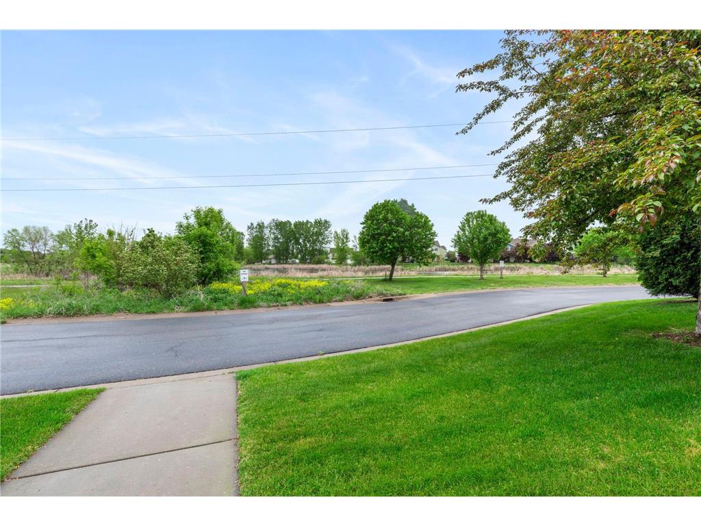 155 Stallion Lane Lino Lakes MN 55014 7075384 image46