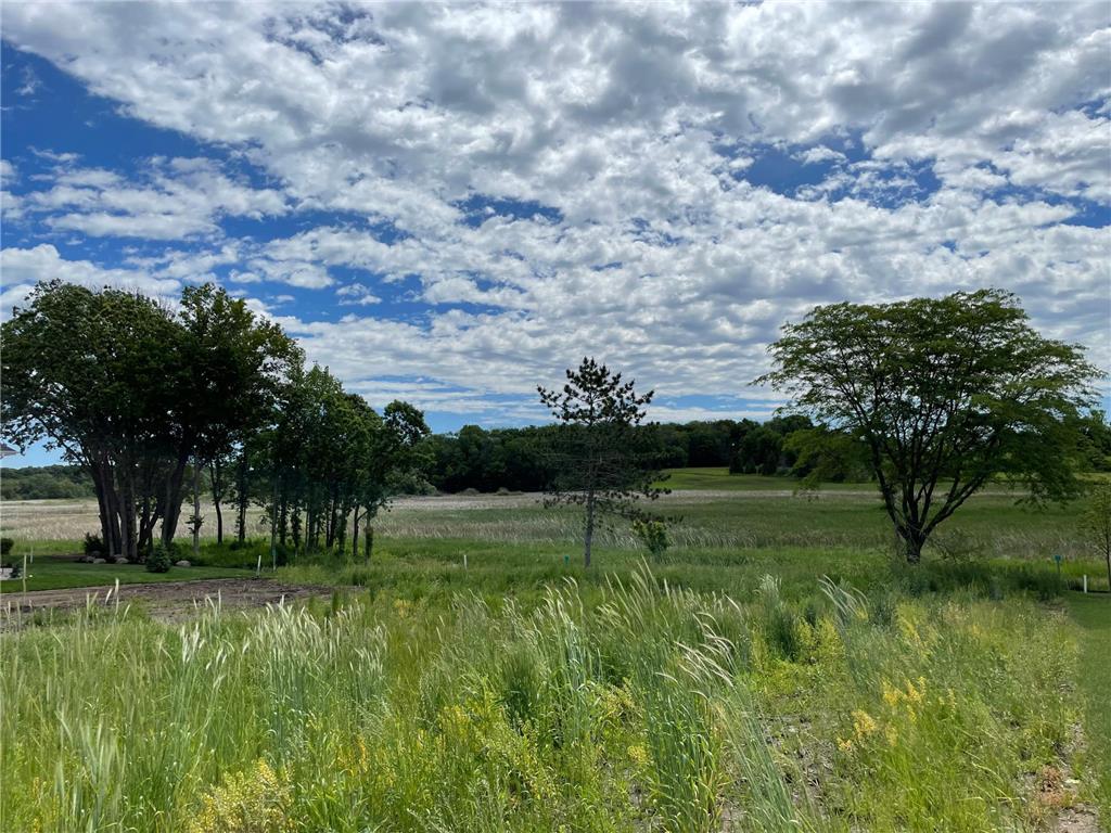 1550 Marsh Pointe Court Medina MN 55340 6628476 image1