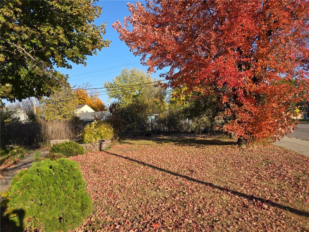 1550 Minnesota Avenue Benson MN 56215 6809612 image3