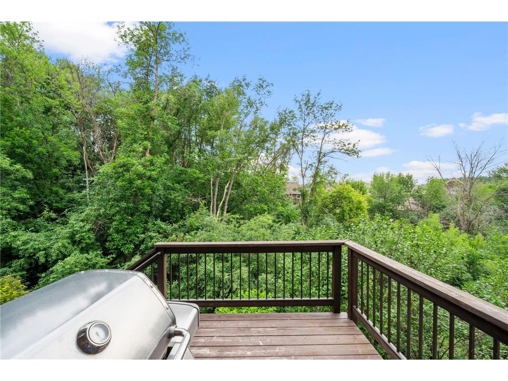 15510 53rd Avenue N Plymouth MN 55446 7108052 image42