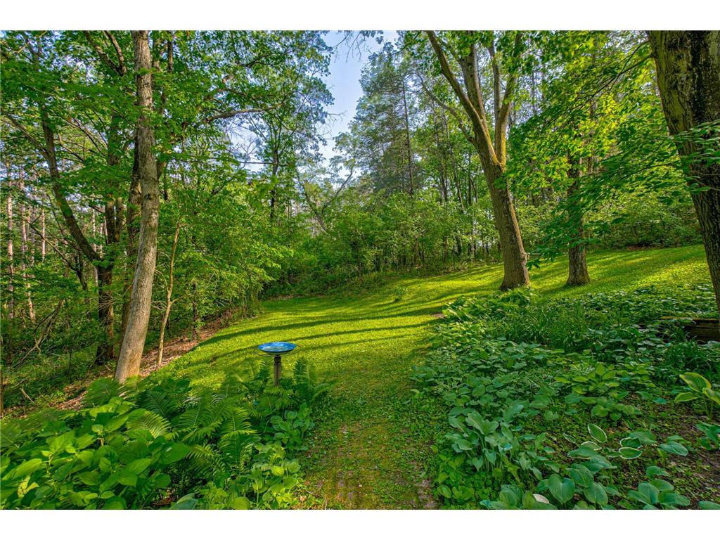 15511 Afton Hills Drive S Afton MN 55001 6729161 image6
