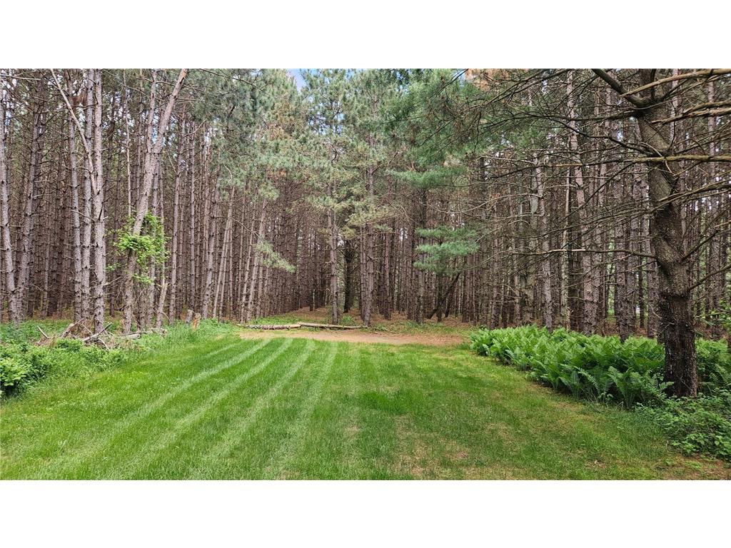 1552 Harrison Drive SW Sylvan Twp MN 56401 7086014 image27