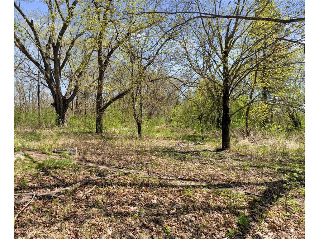 15535 375th Amador Twp MN 55084 7057567 image12